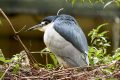 Dierentuin Amersfoort 06-09-2017