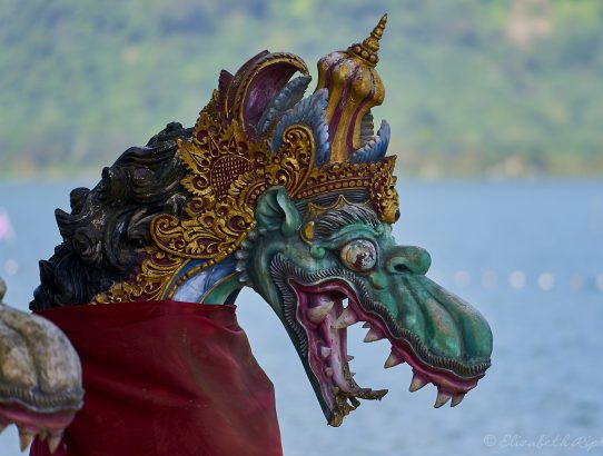 Bali - Olifantenpark, twin lakes en een Balinese beroemdheid