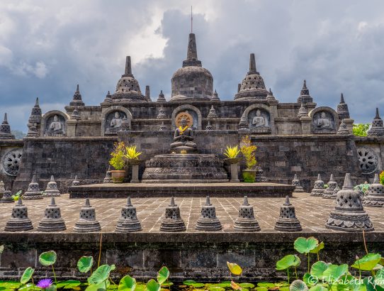 Bali - Van Lovina naar Ubud