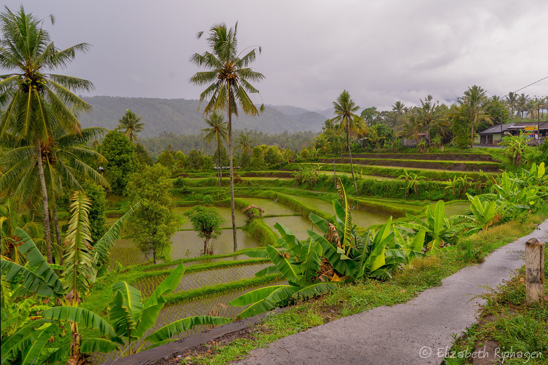 Bali